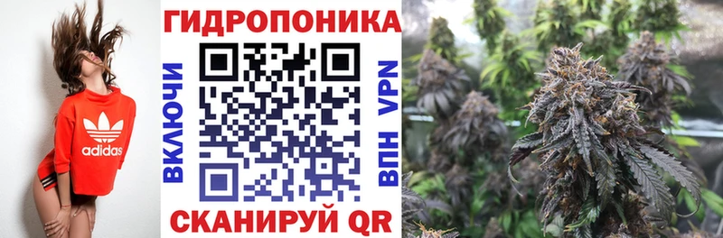 Наркота Эртиль Кокаин МЕФ APVP МЕГА ONION Бошки Шишки