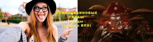 стафф Белокуриха