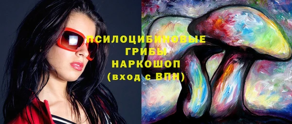 spice Балахна